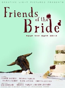 Friends of the Bride (2012) - Stream Online