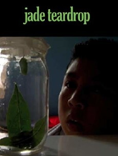 Jade Teardrop (2009) - Stream Online