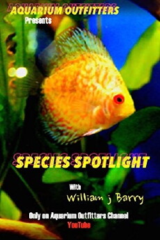 Species Spotlight (2014) - Stream Online