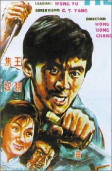 Rage of the Tiger (1971) - Stream Online