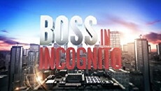 Boss in incognito (2014) - Stream Online