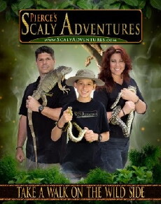 Scaly Adventures (2013) - Stream Online