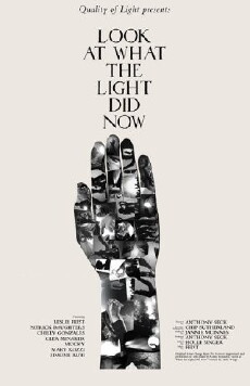 Look at What the Light Did Now (2010) - Stream Online