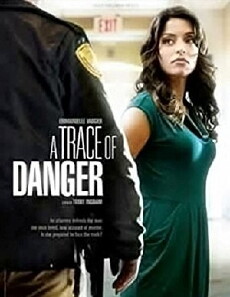 A Trace of Danger (2010) - Stream Online