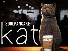 Kat (2017) - Stream Online