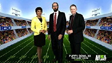 Puppy Bowl Pregame Show (2016) - Stream Online