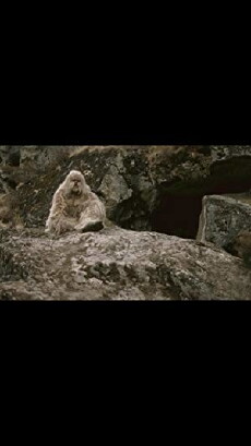 Yeti, le cri de l'homme des neiges (2000) - Stream Online