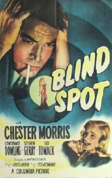 Blind Spot (1947) - Stream Online