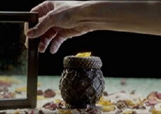 La table verte (2013) - Stream Online