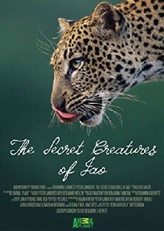 The Secret Creatures of Jao (2009) - Stream Online