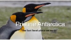 Pristine Antarctica (2015) - Stream Online