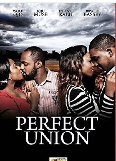 Perfect Union (2014) - Stream Online