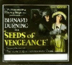 Seeds of Vengeance (1920) - Stream Online