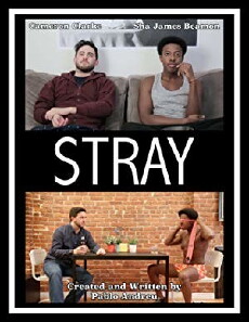Stray (2017) - Stream Online