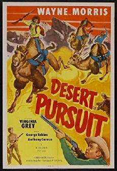 Desert Pursuit (1952) - Stream Online