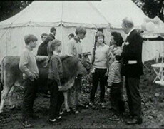 Calamity the Cow (1967) - Stream Online