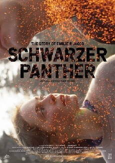 Schwarzer Panther (2014) - Stream Online