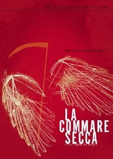 La Commare Secca (1962) - Stream Online