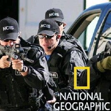 Inside the Real NCIS (2006) - Stream Online