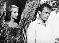 Konnikat (1964) - Stream Online