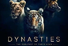 Dynasties (2018) - Stream Online