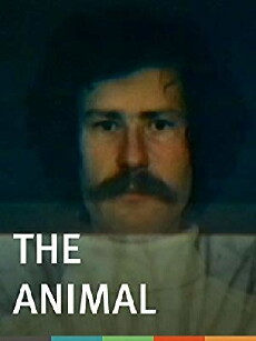 The Animal (1976) - Stream Online