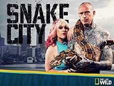 Snake City (2014) - Stream Online
