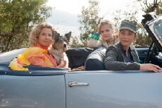 Unterwegs mit Elsa (2014) - Stream Online