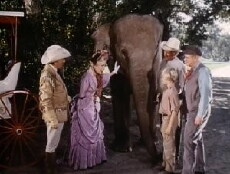 The Boy Who Stole the Elephant (1970) - Stream Online
