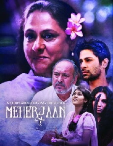 Meherjaan (2011) - Stream Online