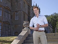 I Wanna Marry 'Harry' (2014) - Stream Online