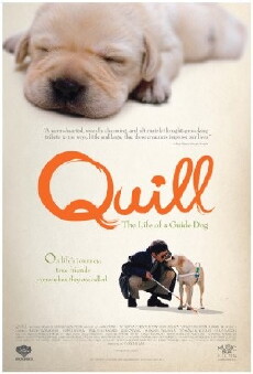 Quill: The Life of a Guide Dog (2004) - Stream Online
