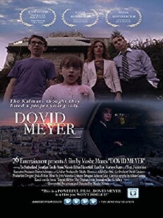 Dovid Meyer (2013) - Stream Online