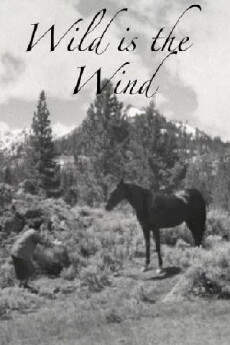 Wild Is the Wind (1957) - Stream Online