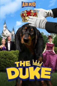 The Duke (1999) - Stream Online