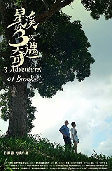 Three Adventures of Brooke (2018) - Stream Online