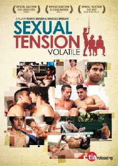 Sexual Tension: Volatile (2012) - Stream Online
