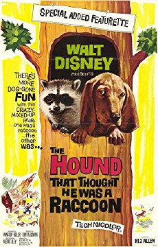 The Hound That Thought He Was a Raccoon (1960) - Stream Online