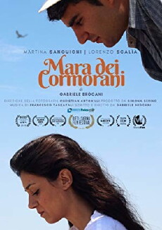 The Flightless Cormorant (2018) - Stream Online