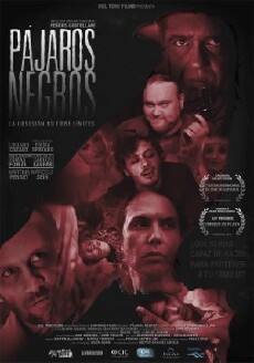 Pájaros Negros (2015) - Stream Online