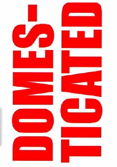 Domesticated (2018) - Stream Online