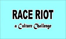 Race Riot: A Culture Challenge (2013) - Stream Online