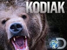 Kodiak (2014) - Stream Online