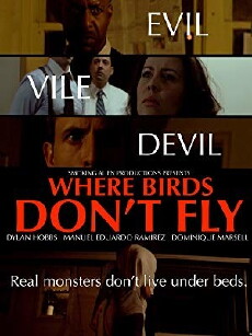 Where Birds Don't Fly (2017) - Stream Online