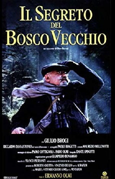 Il segreto del bosco vecchio (1993) - Stream Online