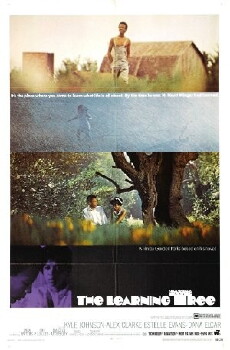 The Learning Tree (1969) - Stream Online
