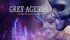 Grey Agenda (2017) - Stream Online