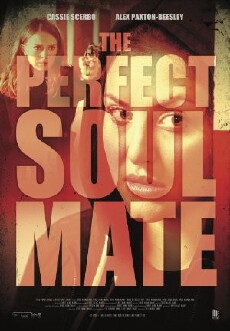 The Perfect Soulmate (2017) - Stream Online