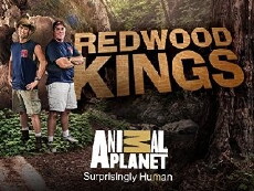 Redwood Kings (2013) - Stream Online