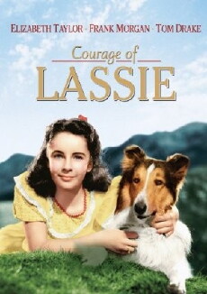 Courage of Lassie (1946) - Stream Online